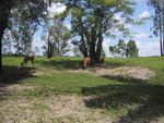9IMG_6075.jpg 16.38k