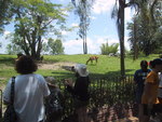 9IMG_6078.jpg 16.11k