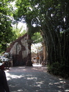 9IMG_6079.jpg 21.58k