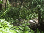 9IMG_6086.jpg 17.81k