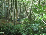 9IMG_6091.jpg 18.42k
