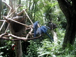 9IMG_6096.jpg 28.12k
