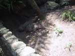 9IMG_6097.jpg 12.91k