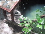 9IMG_6100.jpg 14.50k
