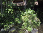 9IMG_6260.jpg 16.57k
