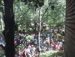 9IMG_6264.jpg 18.41k