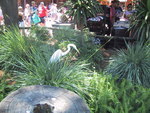 9IMG_6267.jpg 17.58k